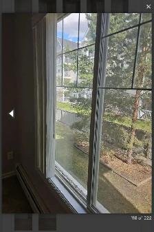 Apartment - Photo 3