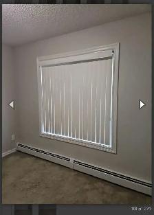 Apartment - Photo 4