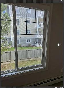 Apartment - Photo 10