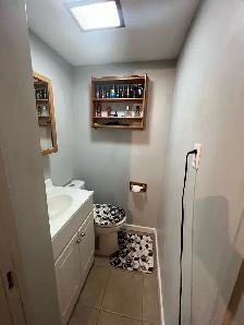 3 BR basement suite in Mission! 1700 sqft - Photo 7
