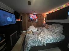 3 BR basement suite in Mission! 1700 sqft - Photo 9