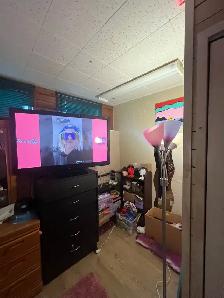 3 BR basement suite in Mission! 1700 sqft - Photo 10