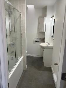 3 1/2 à Louer à Rosemont Petite Patrie - Photo 2