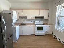 3 1/2 à Louer à Rosemont Petite Patrie - Photo 4