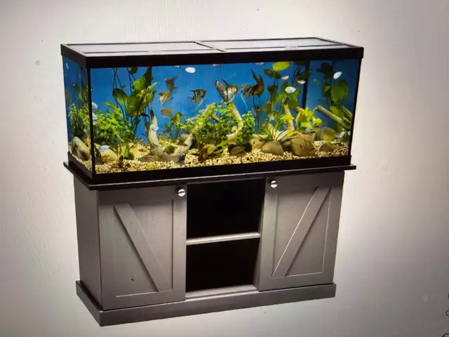 75 gallon fish tank with stand, substrate,decore, filteration.