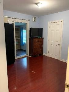 1.5 Bedroom for Rent in Malton (Mississauga) from July1/ 2026 - Photo 3