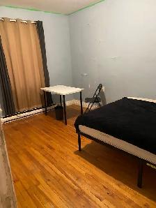 chambre à louer