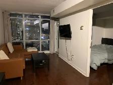 1 Bed   Den - Condo for Lease – CityPlace - CN Tower View - Photo 9