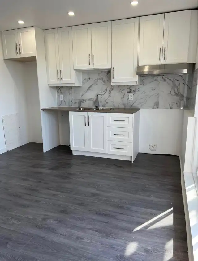 TRÈS GRAND LOGEMENT A LOUER