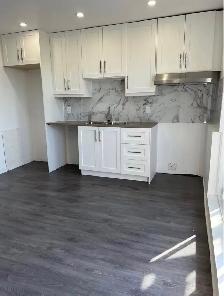 TRÈS GRAND LOGEMENT A LOUER