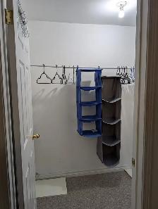 Large 1 bed room basement , private entrance - Photo 7