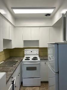 Spacious Corner Unit 1 Bedroom Apartment - Photo 9