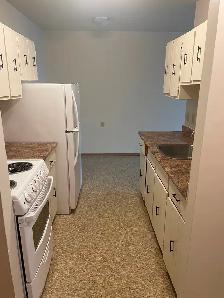 One bedroom 131 River Ave close to the Forks - Photo 2
