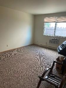 One bedroom 131 River Ave close to the Forks - Photo 4