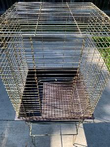For Sale: Large Bird Cage - Photo 4