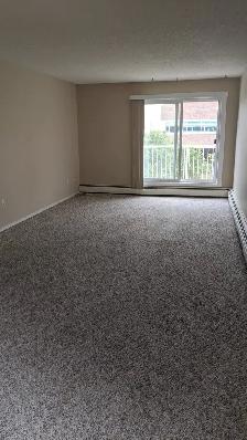 Across from Hospital! Top Floor Unit! Pet Friendly! - Photo 4
