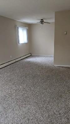 Across from Hospital! Top Floor Unit! Pet Friendly! - Photo 6