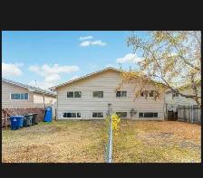 4 Bedroom House for rent