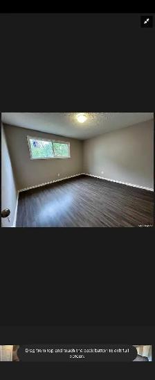 4 Bedroom House for rent - Photo 10