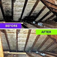 Attic Mold