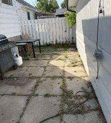 $1,200/MONTH 1-BEDROOM - ALL UTILITIES INCLUDED - July 1 Move In - Photo 11
