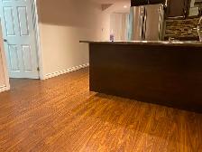 Basement apartment in Heartland area - Photo 3