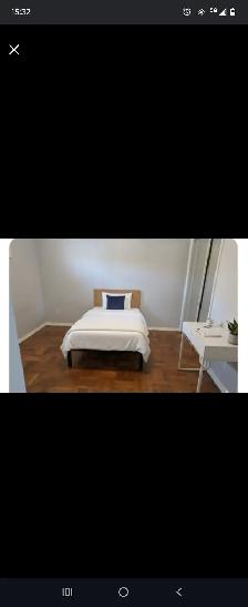 July 1 - bright bedroom available Etobicoke Islington/Albion