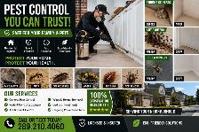 Pest Control Services | Free Inspections | Golden Horseshoe