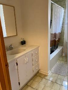 Beau et propre 3 1/2 à louer à Anjou - Photo 7