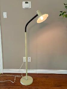 Adjustable Floor Lamp