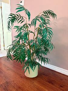 Fake Plant - Photo 2