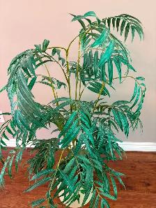 Fake Plant - Photo 3