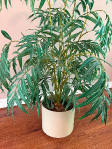 Fake Plant - Photo 5