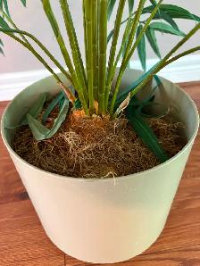 Fake Plant - Photo 7