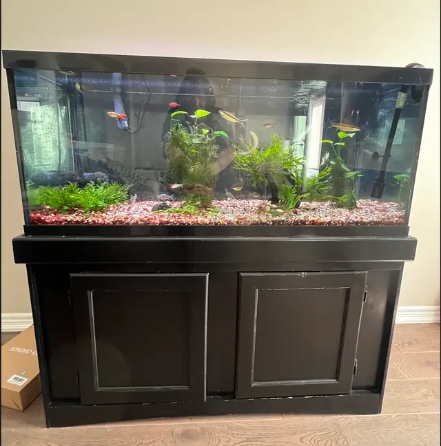 75 gal. Tank and More! -$150