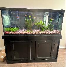 75 gal. Tank and More! -$150