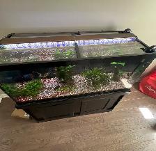 75 gal. Tank and More! -$150 - Photo 2