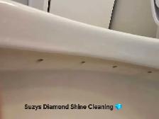 Suzys Diamond Shine Cleaning - Photo 8