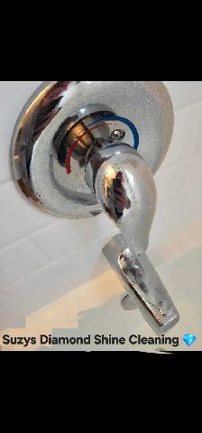 Suzys Diamond Shine Cleaning - Photo 9