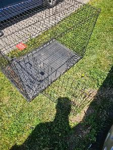 XXXL Dog Crate Cage for big dogs - Photo 3