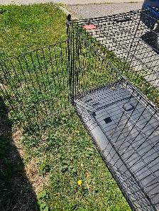 XXXL Dog Crate Cage for big dogs - Photo 6