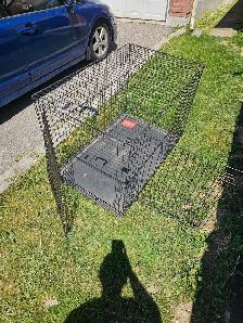 XXXL Dog Crate Cage for big dogs - Photo 7