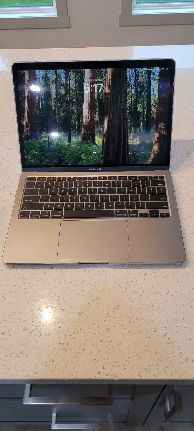 MacBook Air 13' (2020)