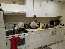 Room for rent near humber collage - Photo 3