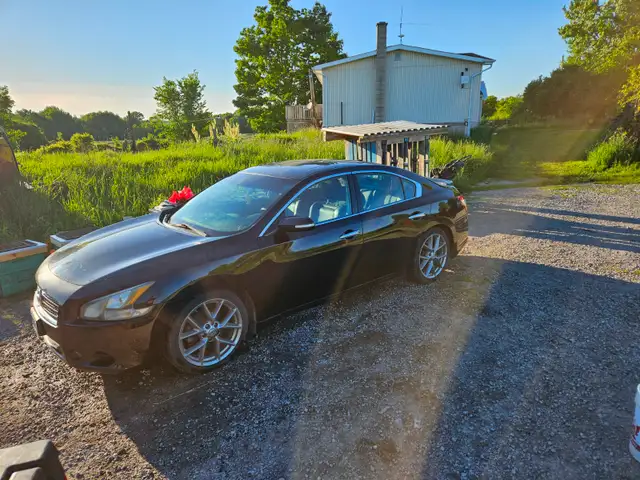 2011 Nissan Maxima SV 3.5