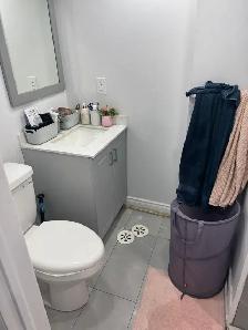 Legal 1 Bedroom Basement apartment for rent from July 1st - Photo 5