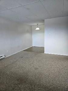 MAIN FLOOR – 1 BDRM – CAT FRIENDLY - Photo 4