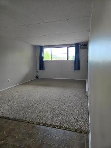 MAIN FLOOR – 1 BDRM – CAT FRIENDLY - Photo 7