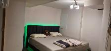 Walk-out Basement for rent