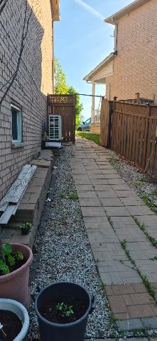 Walk-out Basement for rent - Photo 2